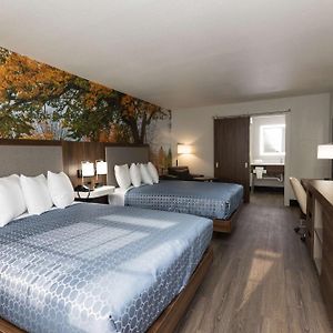 Queen Suite
